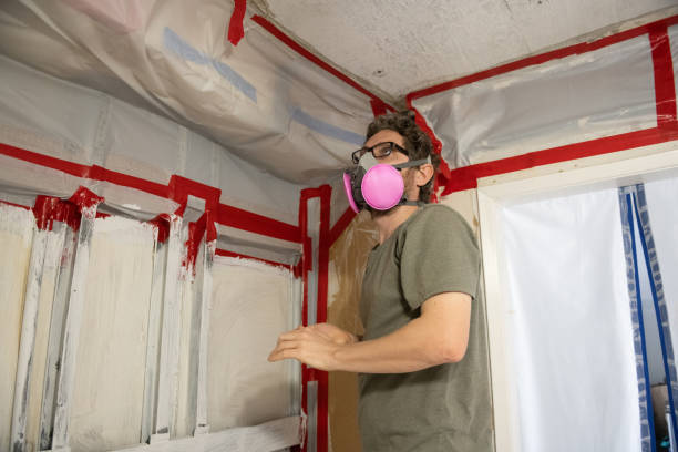 Best Attic Mold Removal  in Scanlon, MN