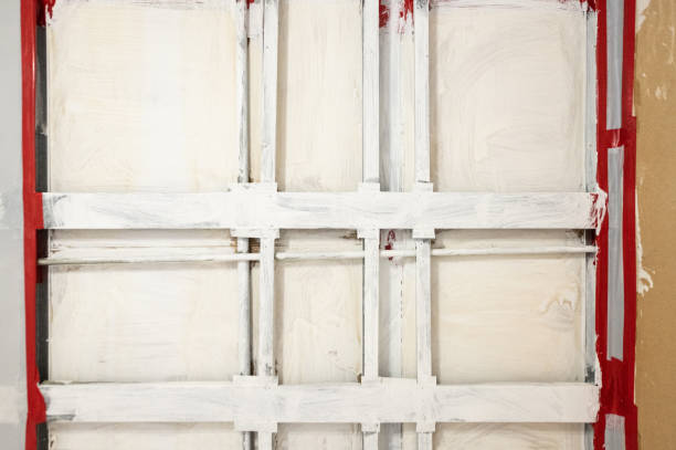 Scanlon, MN Mold Removal Company