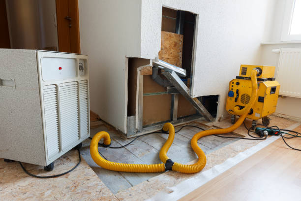 Best Commercial Mold Inspection  in Scanlon, MN
