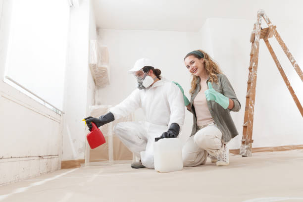 Forensic Mold Investigation in Scanlon, MN