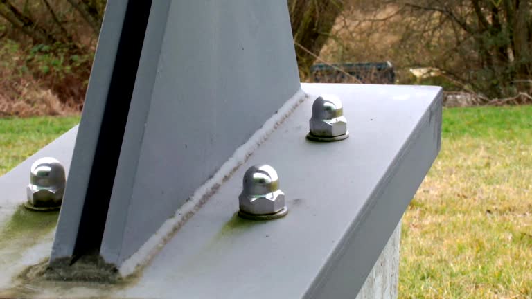 Best Forensic Mold Investigation  in Scanlon, MN